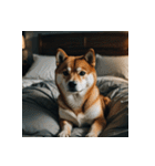 柴犬の新日常1（個別スタンプ：22）