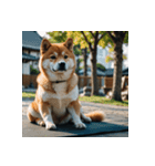 柴犬の新日常1（個別スタンプ：25）