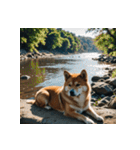 柴犬の新日常1（個別スタンプ：29）