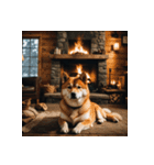 柴犬の新日常1（個別スタンプ：36）
