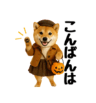 【秋冬】ずっと使える可愛い柴犬（個別スタンプ：4）