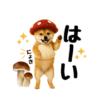 【秋冬】ずっと使える可愛い柴犬（個別スタンプ：7）