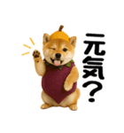 【秋冬】ずっと使える可愛い柴犬（個別スタンプ：9）
