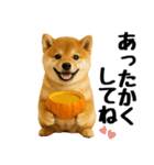 【秋冬】ずっと使える可愛い柴犬（個別スタンプ：13）