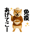 【秋冬】ずっと使える可愛い柴犬（個別スタンプ：14）