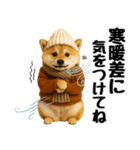 【秋冬】ずっと使える可愛い柴犬（個別スタンプ：15）