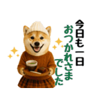 【秋冬】ずっと使える可愛い柴犬（個別スタンプ：17）