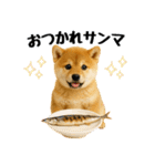 【秋冬】ずっと使える可愛い柴犬（個別スタンプ：18）