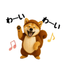 【秋冬】ずっと使える可愛い柴犬（個別スタンプ：25）