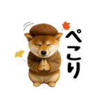 【秋冬】ずっと使える可愛い柴犬（個別スタンプ：26）
