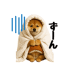 【秋冬】ずっと使える可愛い柴犬（個別スタンプ：28）