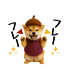 【秋冬】ずっと使える可愛い柴犬（個別スタンプ：36）