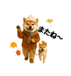 【秋冬】ずっと使える可愛い柴犬（個別スタンプ：37）