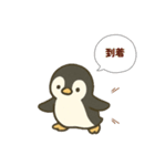 ペンギンの普段使い（個別スタンプ：10）