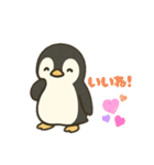 ペンギンの普段使い（個別スタンプ：16）