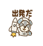 コスモシュナの銀河トーク（個別スタンプ：19）