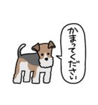 フォックステリア<敬語>（個別スタンプ：1）