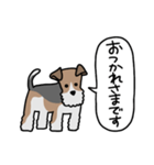 フォックステリア<敬語>（個別スタンプ：3）