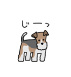 フォックステリア<敬語>（個別スタンプ：9）