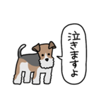 フォックステリア<敬語>（個別スタンプ：13）