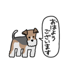 フォックステリア<敬語>（個別スタンプ：17）