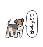 フォックステリア<敬語>（個別スタンプ：24）