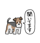 フォックステリア<敬語>（個別スタンプ：33）
