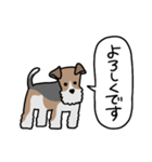 フォックステリア<敬語>（個別スタンプ：36）