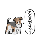 フォックステリア<敬語>（個別スタンプ：38）