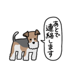 フォックステリア<敬語>（個別スタンプ：40）