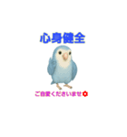 コザクラ語録♡癒しの四字熟語（個別スタンプ：3）