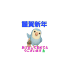 コザクラ語録♡癒しの四字熟語（個別スタンプ：13）