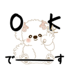 飛び出す 垂れ耳白わんこ「よく使う言葉」（個別スタンプ：3）