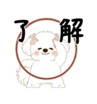 飛び出す 垂れ耳白わんこ「よく使う言葉」（個別スタンプ：4）