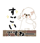 飛び出す 垂れ耳白わんこ「よく使う言葉」（個別スタンプ：12）