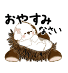 飛び出す 垂れ耳白わんこ「よく使う言葉」（個別スタンプ：24）