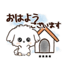 名前が入る★愛犬♡マルチーズ【判子】（個別スタンプ：9）