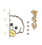 名前が入る★愛犬♡マルチーズ【判子】（個別スタンプ：20）