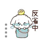 名前が入る★愛犬♡マルチーズ【判子】（個別スタンプ：23）