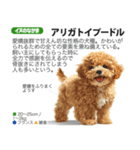 架空動物図鑑 vol.4(犬特集)（個別スタンプ：1）