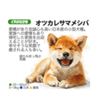 架空動物図鑑 vol.4(犬特集)（個別スタンプ：3）