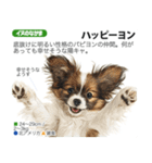 架空動物図鑑 vol.4(犬特集)（個別スタンプ：4）