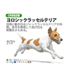 架空動物図鑑 vol.4(犬特集)（個別スタンプ：5）