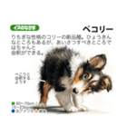 架空動物図鑑 vol.4(犬特集)（個別スタンプ：6）