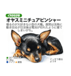 架空動物図鑑 vol.4(犬特集)（個別スタンプ：8）