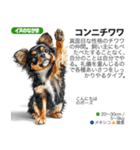 架空動物図鑑 vol.4(犬特集)（個別スタンプ：9）