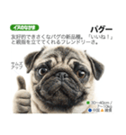 架空動物図鑑 vol.4(犬特集)（個別スタンプ：10）