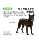 架空動物図鑑 vol.4(犬特集)（個別スタンプ：14）