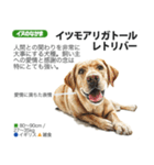 架空動物図鑑 vol.4(犬特集)（個別スタンプ：15）