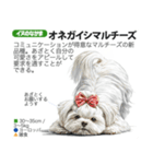 架空動物図鑑 vol.4(犬特集)（個別スタンプ：16）
